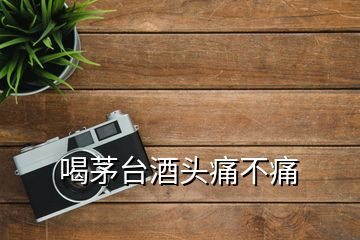 喝茅臺(tái)酒頭痛不痛