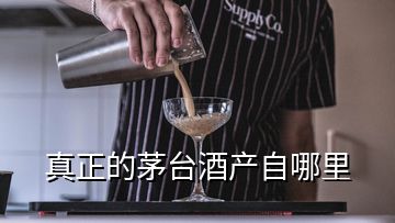 真正的茅臺酒產(chǎn)自哪里