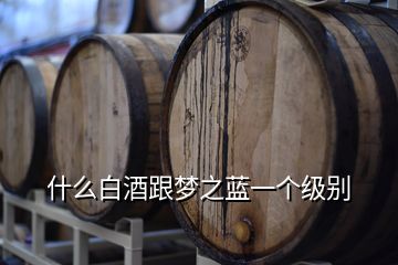 什么白酒跟夢之藍(lán)一個級別