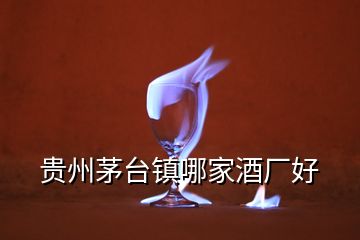 貴州茅臺鎮(zhèn)哪家酒廠好