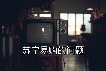 蘇寧易購的問題