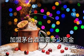 加盟茅臺酒需要多少資金