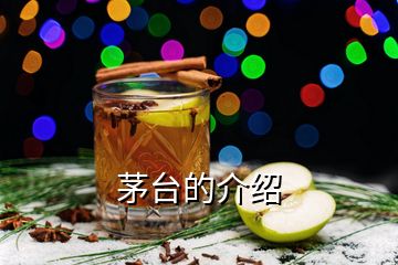 茅臺(tái)的介紹