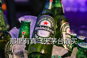 那里有真飛天茅臺酒買