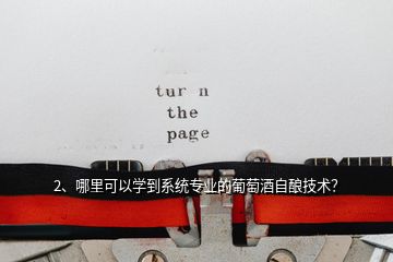 2、哪里可以學到系統(tǒng)專業(yè)的葡萄酒自釀技術(shù)？