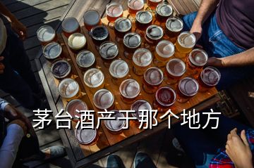 茅臺酒產(chǎn)于那個地方