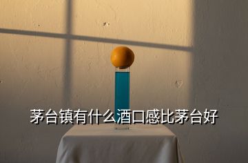 茅臺鎮(zhèn)有什么酒口感比茅臺好