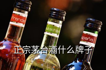 正宗茅臺酒什么牌子