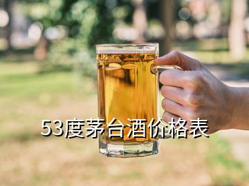 53度茅臺(tái)酒價(jià)格表