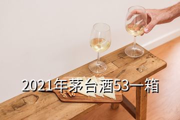 2021年茅臺(tái)酒53一箱