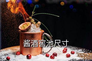 醬酒窖池尺寸