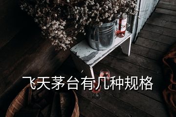 飛天茅臺有幾種規(guī)格