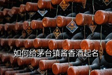 如何給茅臺(tái)鎮(zhèn)醬香酒起名