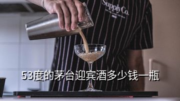 53度的茅臺迎賓酒多少錢一瓶