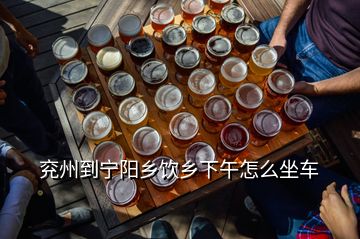 兗州到寧陽鄉(xiāng)飲鄉(xiāng)下午怎么坐車