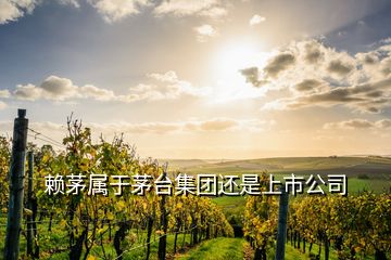 賴茅屬于茅臺集團還是上市公司