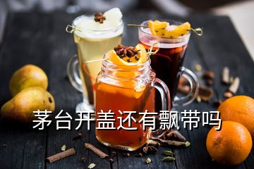 茅臺(tái)開(kāi)蓋還有飄帶嗎