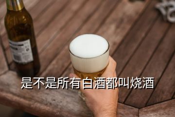 是不是所有白酒都叫燒酒