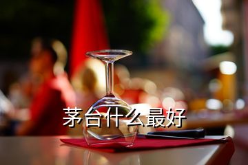 茅臺什么最好