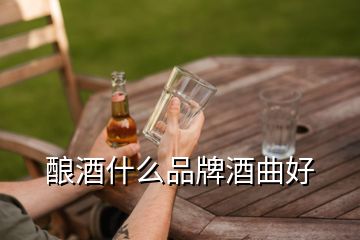 釀酒什么品牌酒曲好