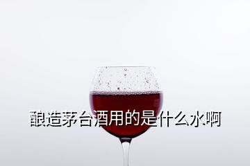 釀造茅臺(tái)酒用的是什么水啊