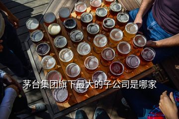 茅臺(tái)集團(tuán)旗下最大的子公司是哪家