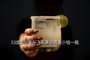 53度500毫升飛天茅臺酒多少錢一瓶