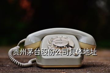 貴州茅臺(tái)股份公司具體地址