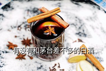 有沒(méi)有和茅臺(tái)差不多的白酒