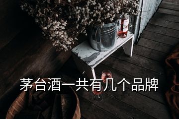 茅臺酒一共有幾個品牌