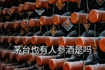 茅臺(tái)也有人參酒是嗎