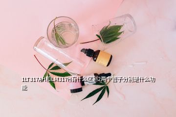 1LT317AH和LM317H有什么區(qū)別2兩個(gè)管子分別是什么功能