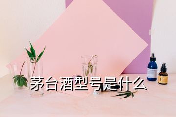 茅臺酒型號是什么