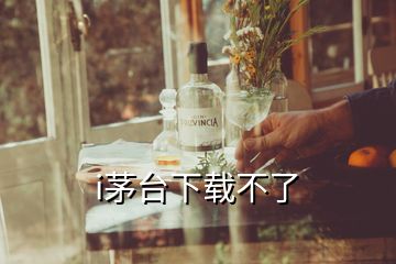 i茅臺(tái)下載不了