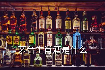 茅臺生肖酒是什么