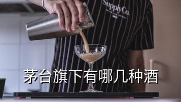 茅臺(tái)旗下有哪幾種酒