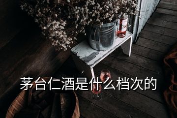 茅臺仁酒是什么檔次的