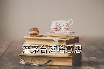 灌茅臺(tái)酒啥意思