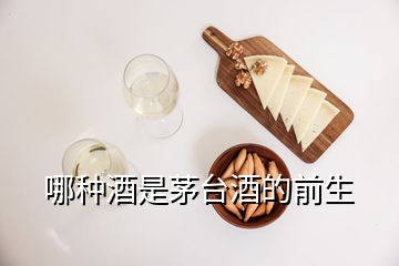 哪種酒是茅臺酒的前生