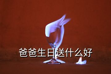 爸爸生日送什么好