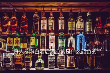 真人參泡白酒后酒應該是什么顏色的