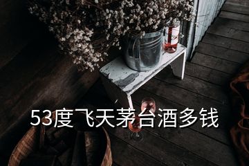 53度飛天茅臺(tái)酒多錢