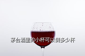 茅臺(tái)酒里的小杯可以倒多少杯