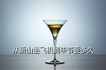 從蕭山坐飛機到畢節(jié)要多久