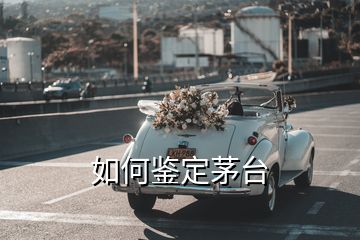 如何鑒定茅臺