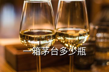 一箱茅臺(tái)多少瓶