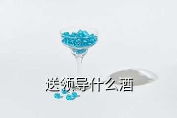 送領(lǐng)導(dǎo)什么酒