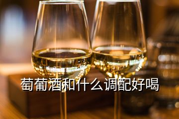 萄葡酒和什么調(diào)配好喝