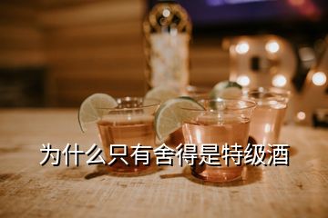 為什么只有舍得是特級酒