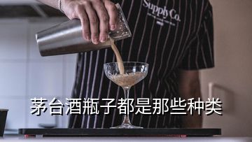 茅臺(tái)酒瓶子都是那些種類